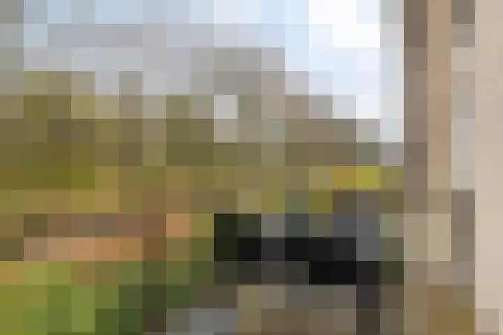 Joost Beeldsnijderweg 1 Deventer thumbnail 23