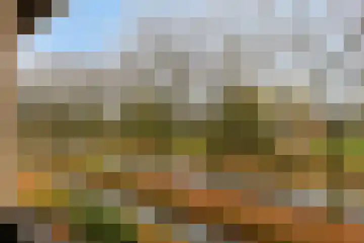 Joost Beeldsnijderweg 1 Deventer thumbnail 24