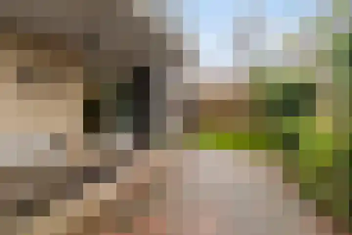 Joost Beeldsnijderweg 1 Deventer thumbnail 47