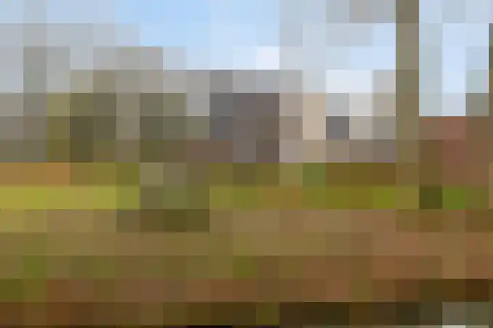 Joost Beeldsnijderweg 1 Deventer thumbnail 54