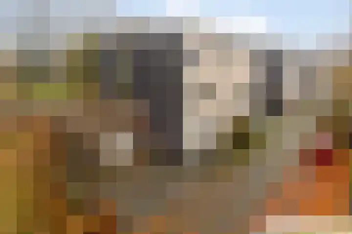 Joost Beeldsnijderweg 1 Deventer thumbnail 55