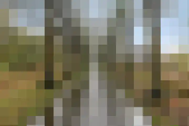 Joost Beeldsnijderweg 1 Deventer thumbnail 56
