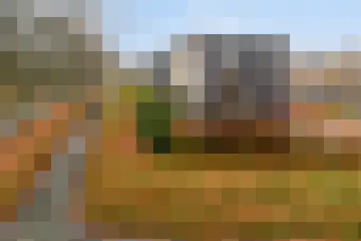 Joost Beeldsnijderweg 1 Deventer thumbnail 6