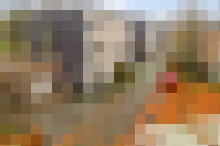 Joost Beeldsnijderweg 1 Deventer thumbnail 7