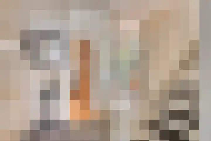 Joost Beeldsnijderweg 17 Deventer thumbnail 18