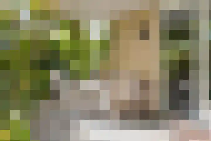 Joost Beeldsnijderweg 17 Deventer thumbnail 26