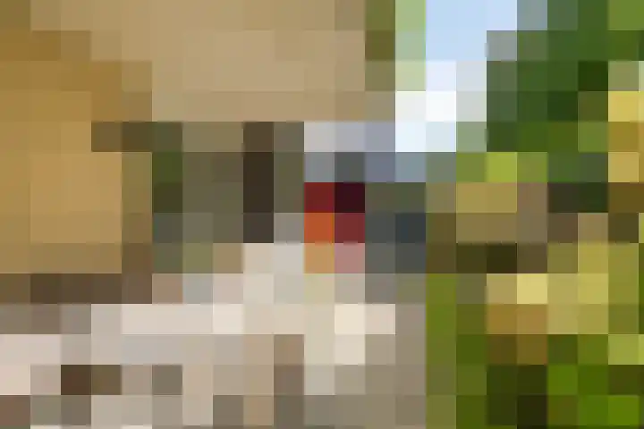 Joost Beeldsnijderweg 17 Deventer thumbnail 27