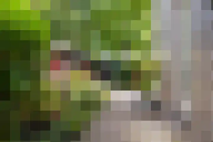 Joost Beeldsnijderweg 17 Deventer thumbnail 28