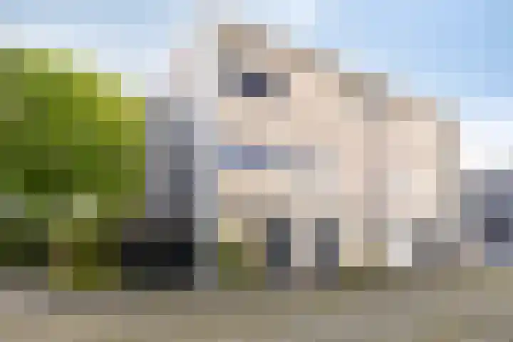 Joost Beeldsnijderweg 17 Deventer thumbnail 30