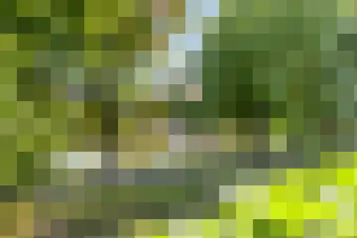 Joost Beeldsnijderweg 17 Deventer thumbnail 4