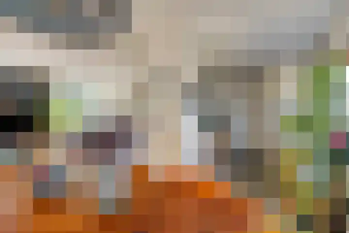 Joost Beeldsnijderweg 17 Deventer thumbnail 7