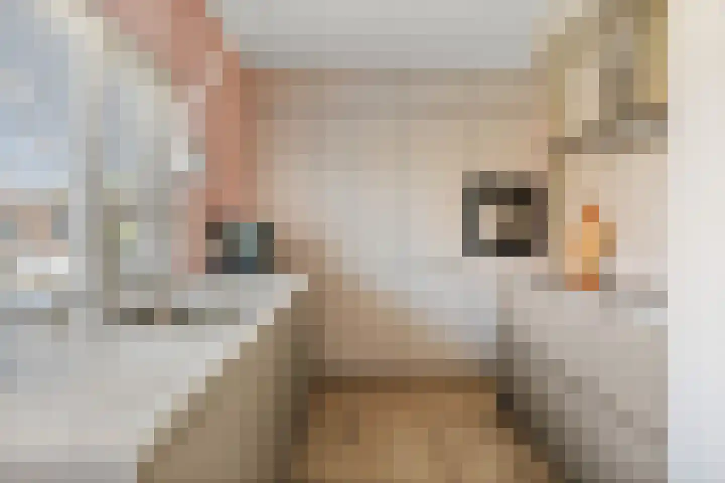 Joost Beeldsnijderweg 23 Deventer thumbnail 12