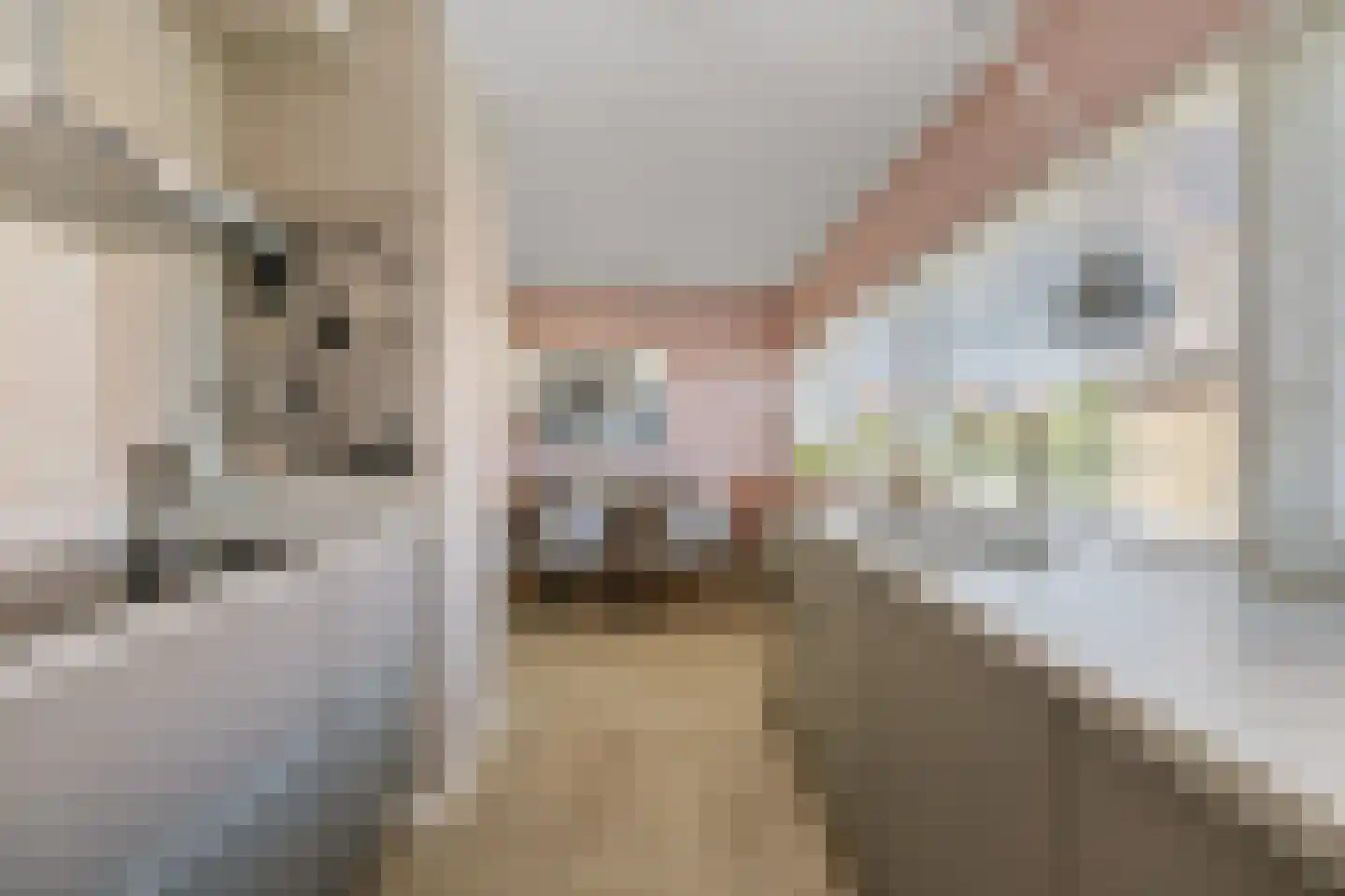Joost Beeldsnijderweg 23 Deventer thumbnail 13