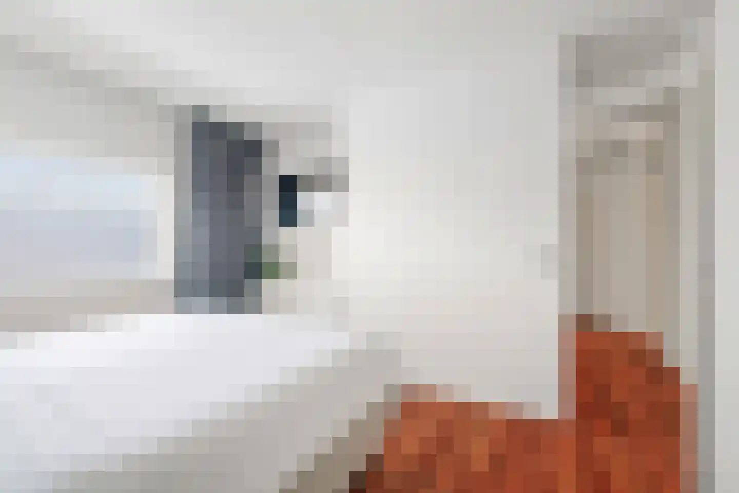 Joost Beeldsnijderweg 23 Deventer thumbnail 24