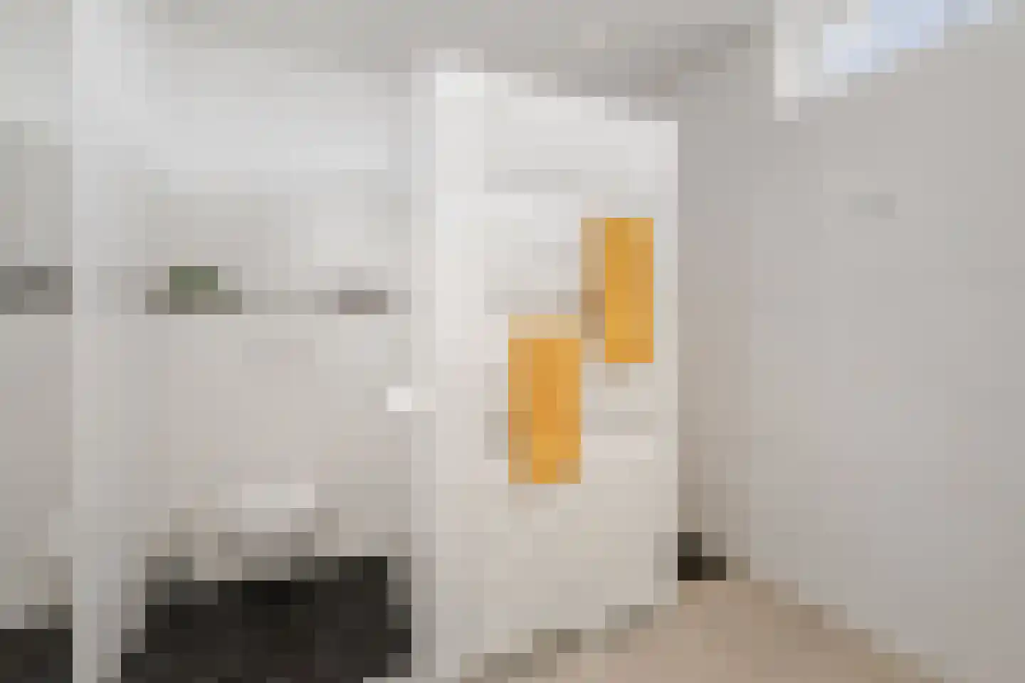 Joost Beeldsnijderweg 23 Deventer thumbnail 27