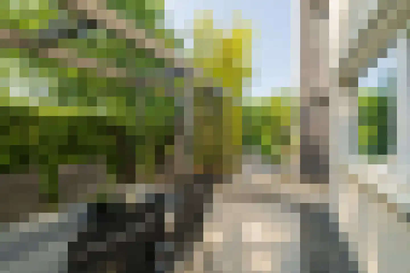 Joost Beeldsnijderweg 23 Deventer thumbnail 36