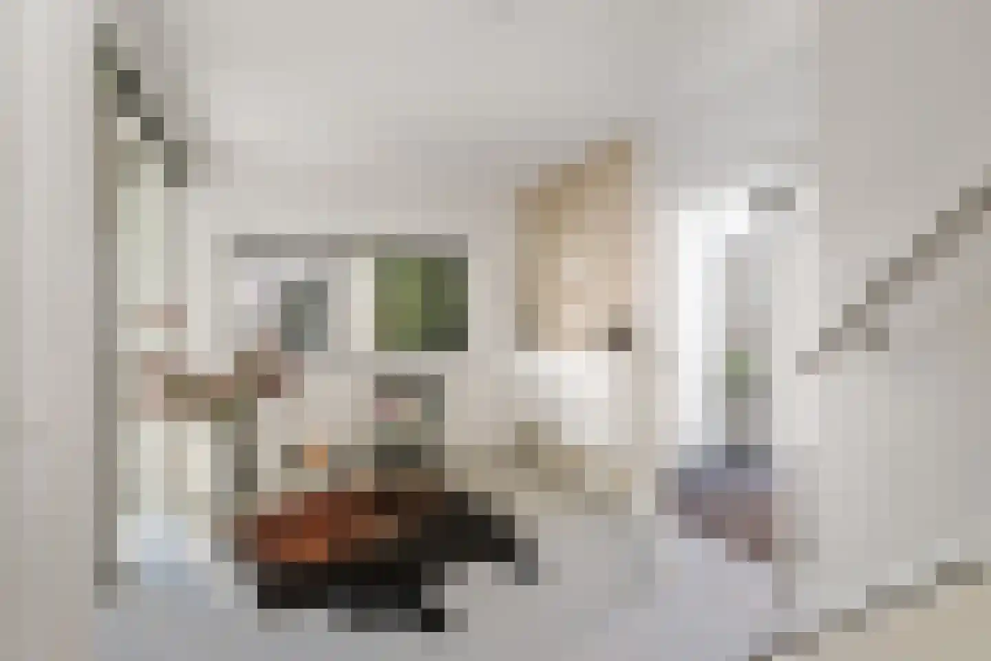 Joost Beeldsnijderweg 23 Deventer thumbnail 5