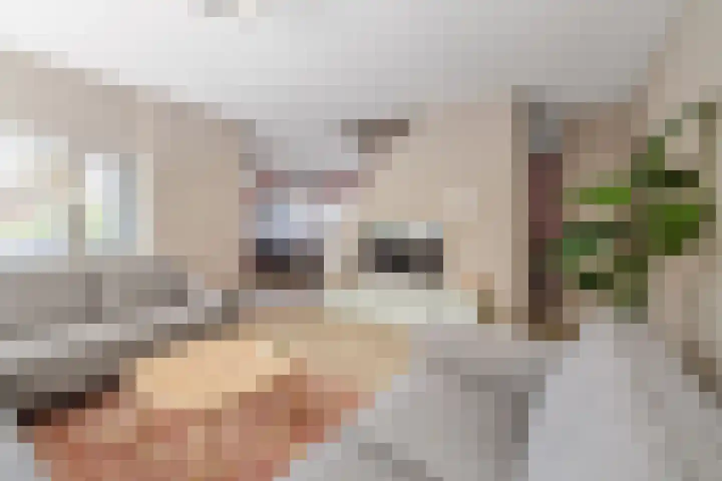 Joost Beeldsnijderweg 23 Deventer thumbnail 9