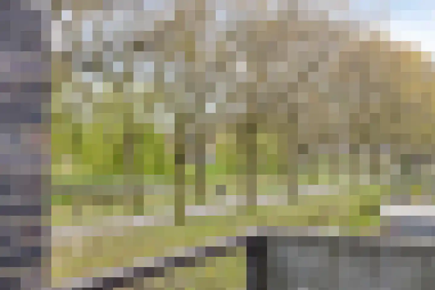 Joost Beeldsnijderweg 3 Deventer thumbnail 17