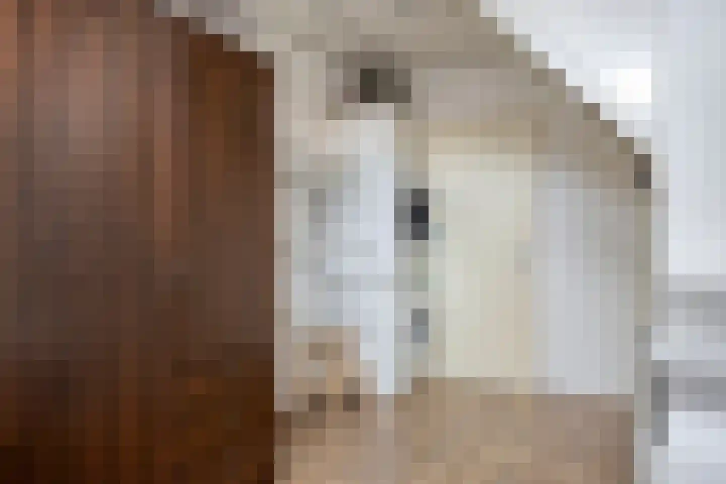Joost Beeldsnijderweg 3 Deventer thumbnail 30
