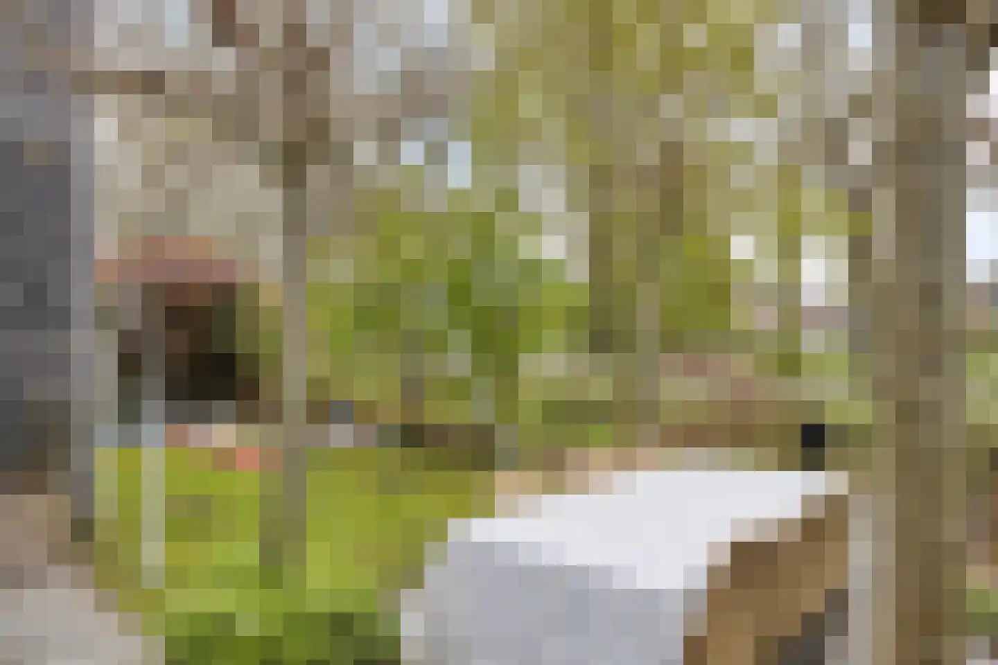 Joost Beeldsnijderweg 3 Deventer thumbnail 39