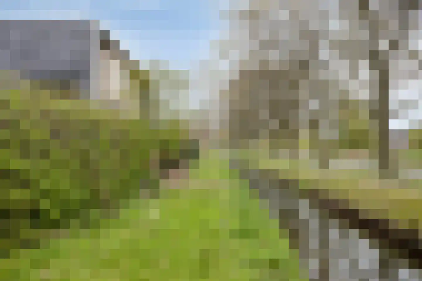 Joost Beeldsnijderweg 3 Deventer thumbnail 44