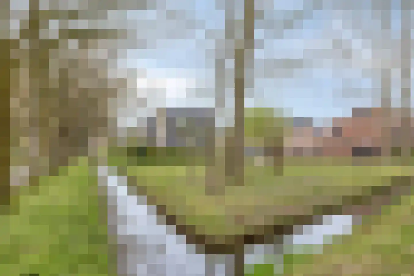 Joost Beeldsnijderweg 3 Deventer thumbnail 47