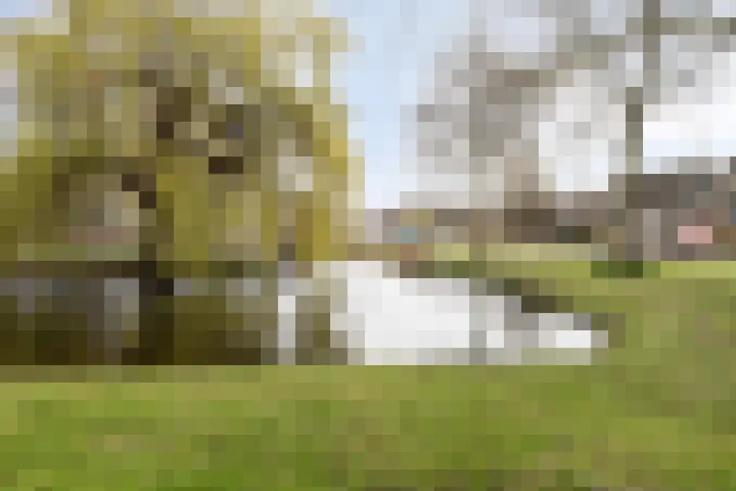 Joost de Hondtlaan 15 Gouda thumbnail 30