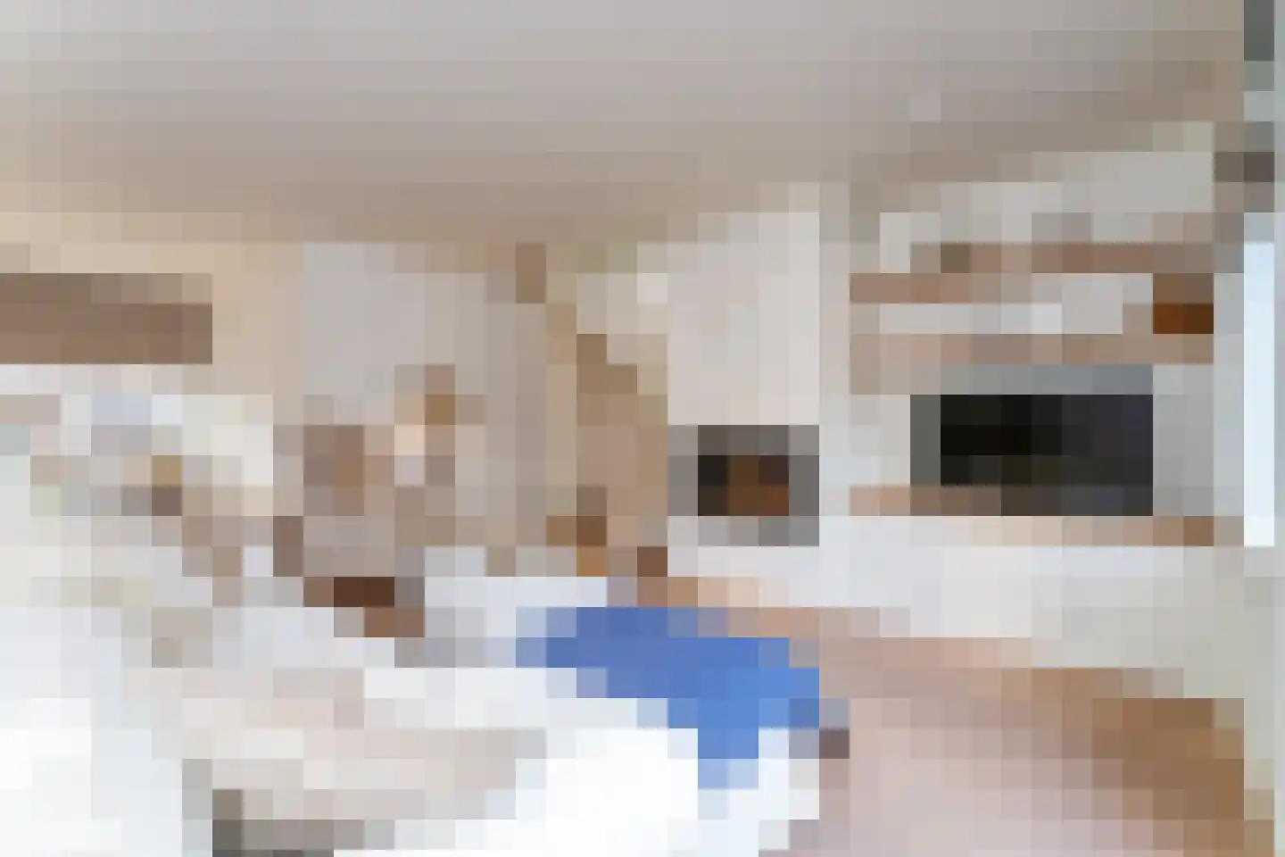 Joost de Moorstraat 12 Retranchement thumbnail 10
