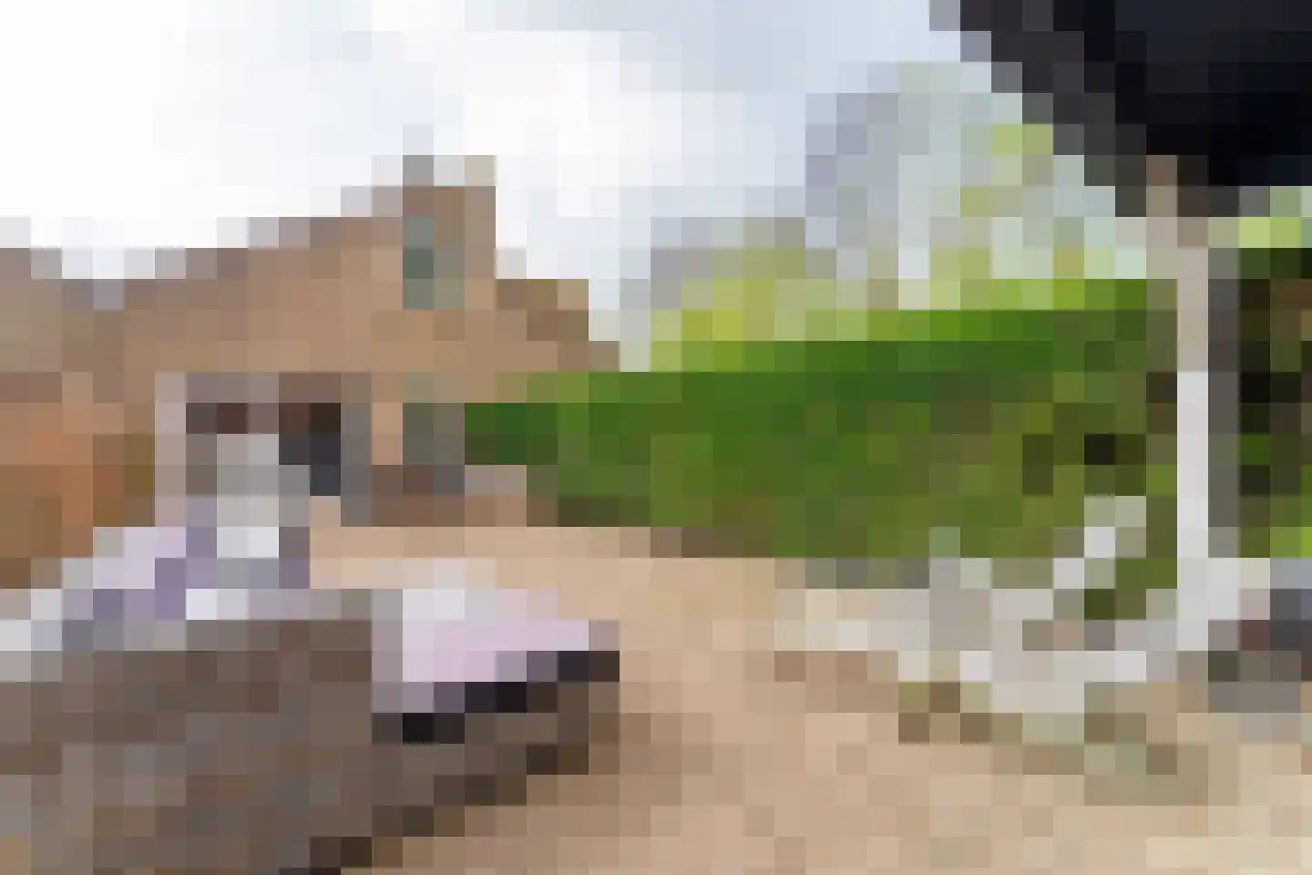 Joost de Moorstraat 12 Retranchement thumbnail 17