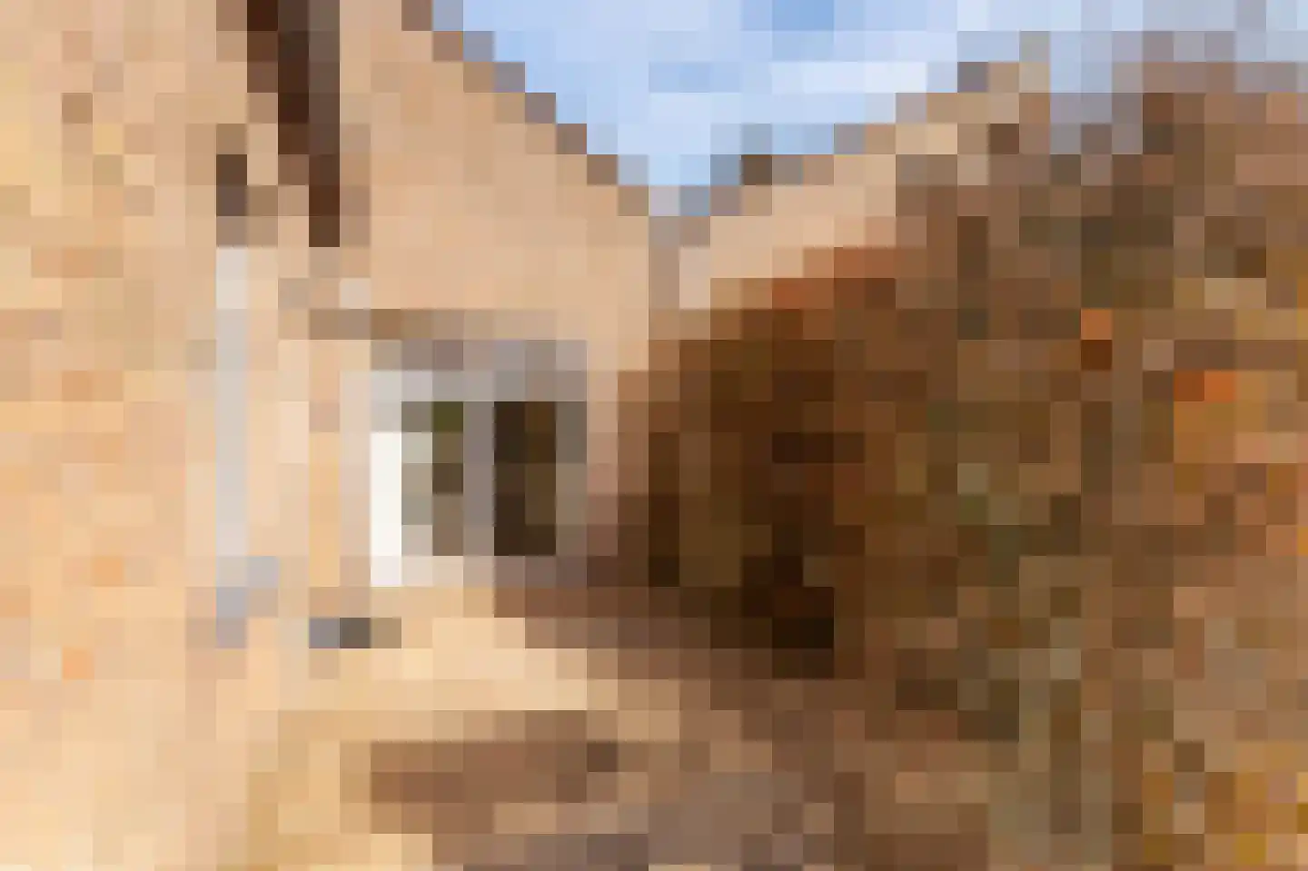 Joost de Moorstraat 12 Retranchement thumbnail 20