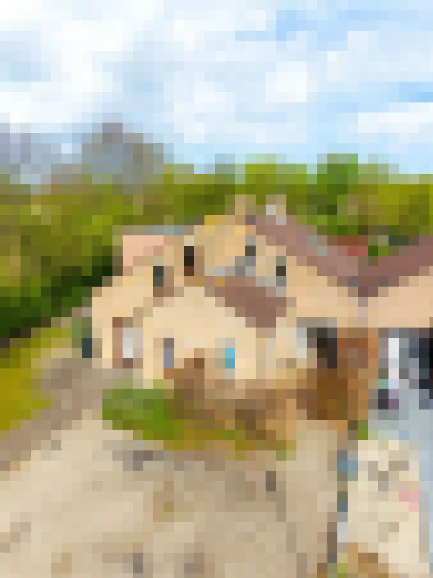 Joost de Moorstraat 12 Retranchement thumbnail 24