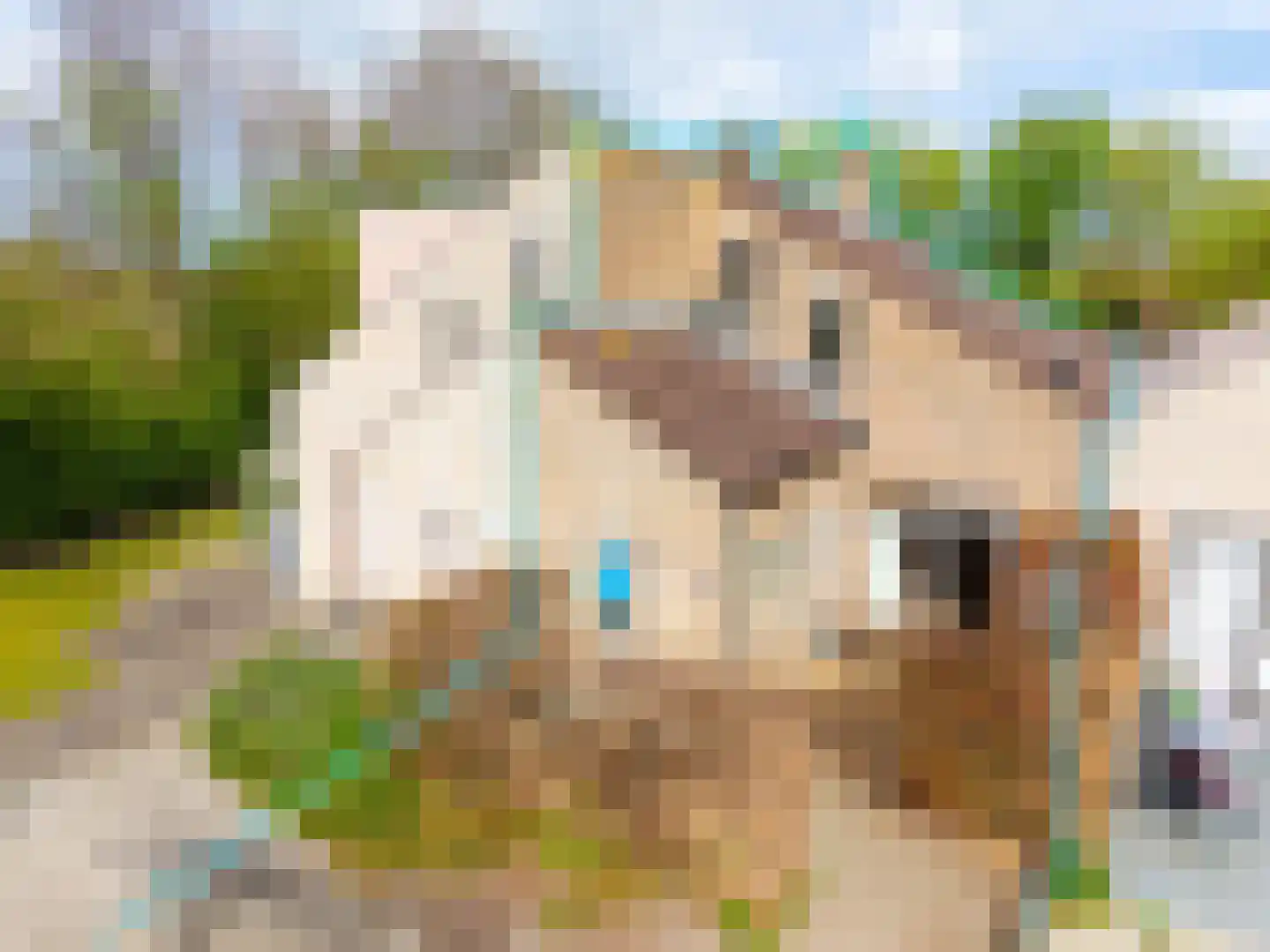 Joost de Moorstraat 12 Retranchement thumbnail 6