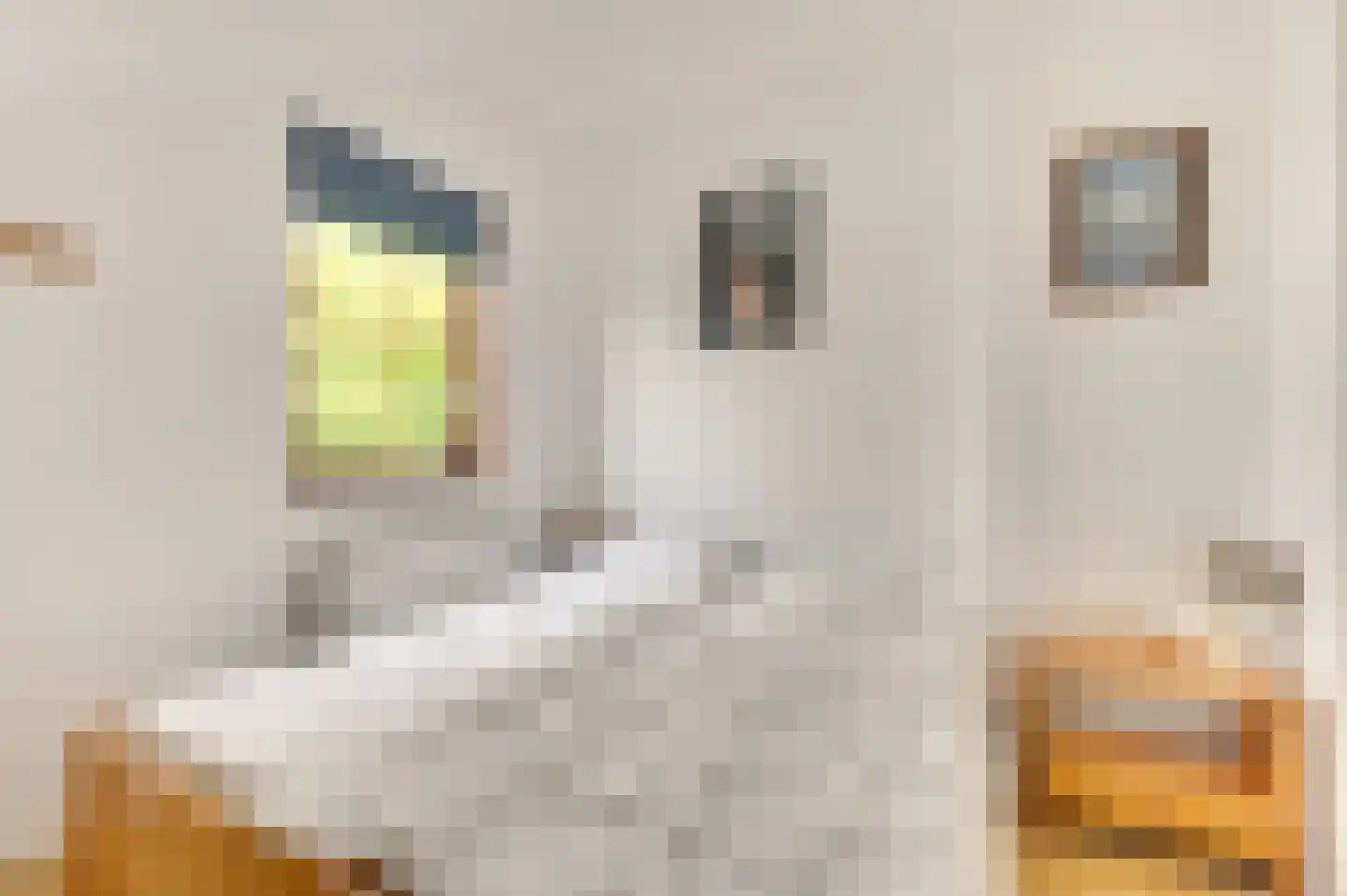 Joost de Moorstraat 2 Retranchement thumbnail 16