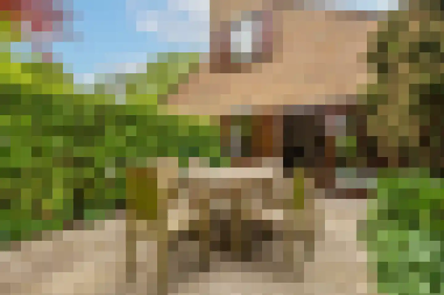Joost de Moorstraat 2 Retranchement thumbnail 20