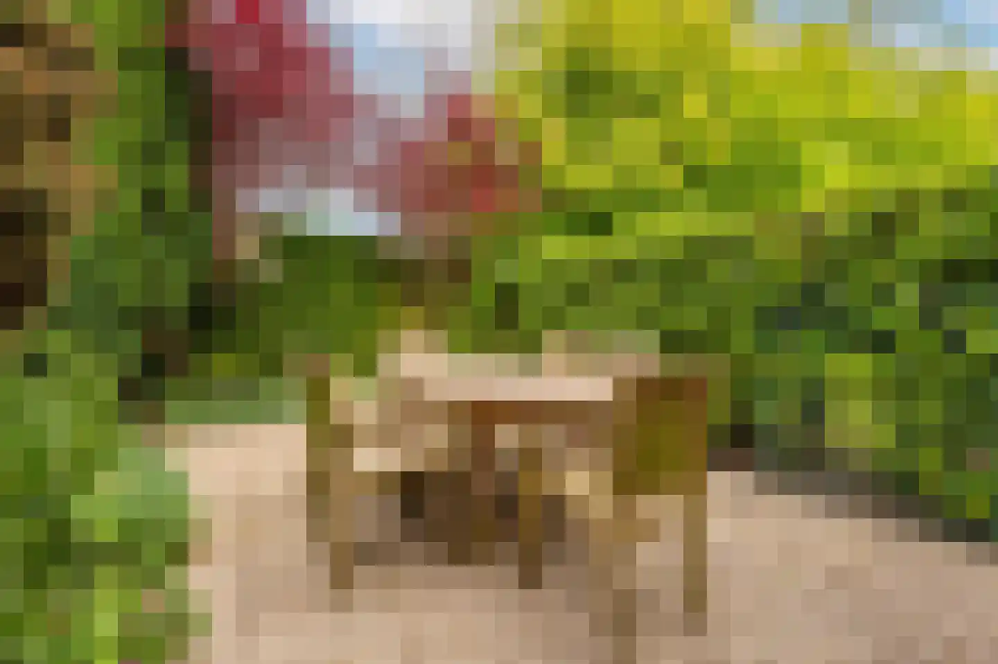 Joost de Moorstraat 2 Retranchement thumbnail 21
