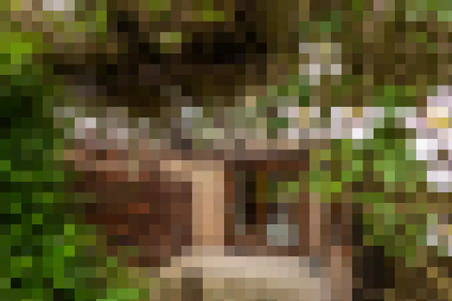 Joost de Moorstraat 2 Retranchement thumbnail 24