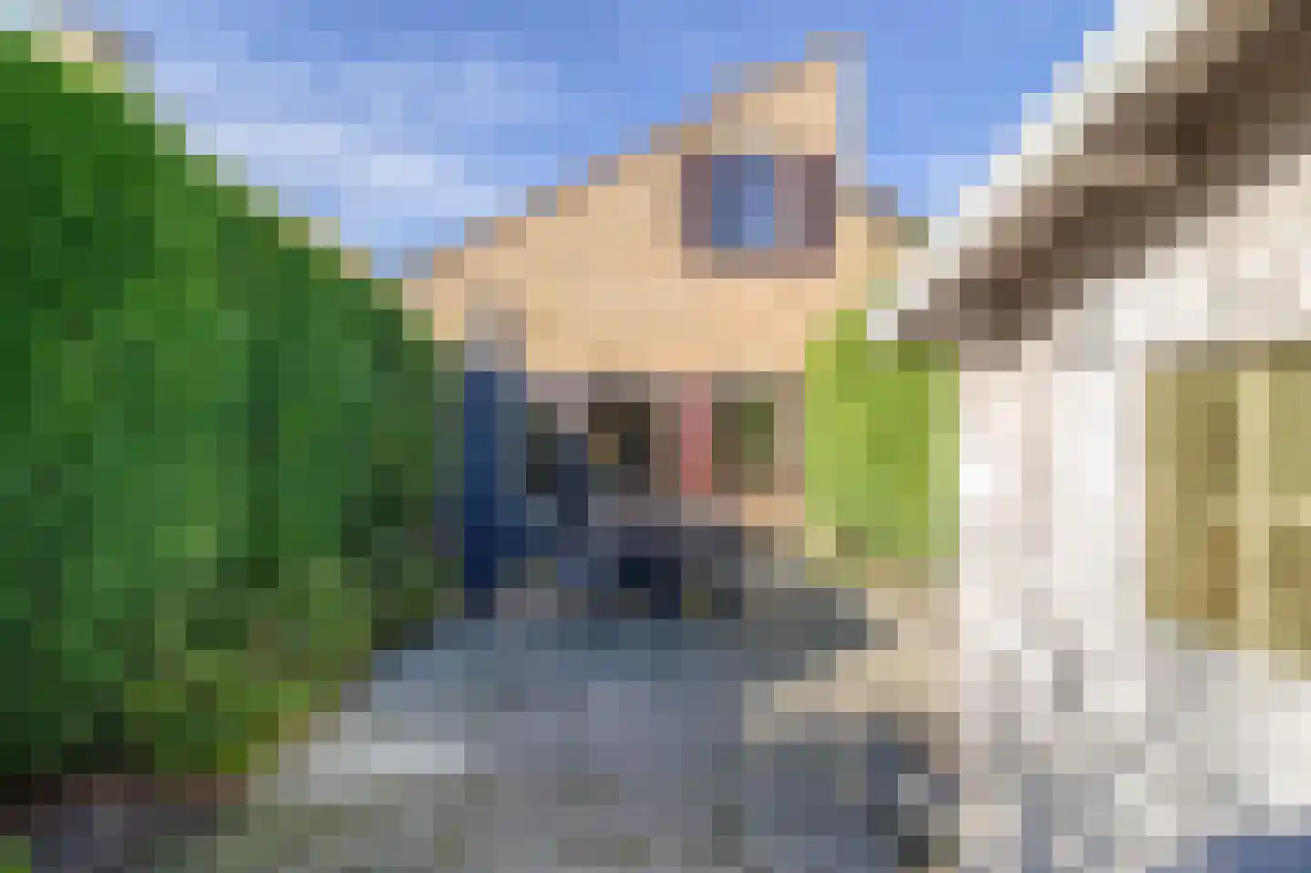 Joost de Moorstraat 7 Retranchement thumbnail 26