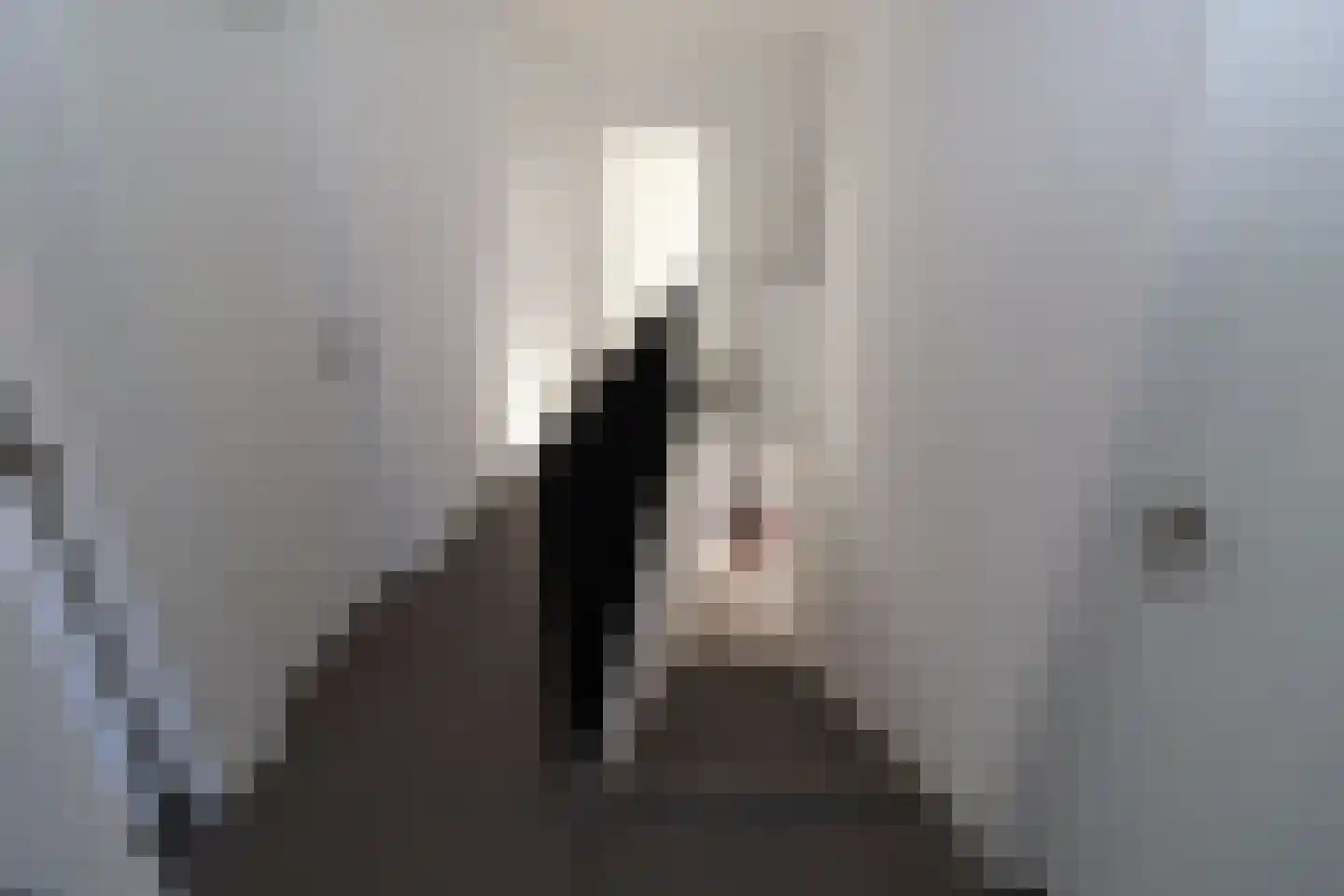 Joost Hamerlinckstraat 10 Sas van Gent thumbnail 6