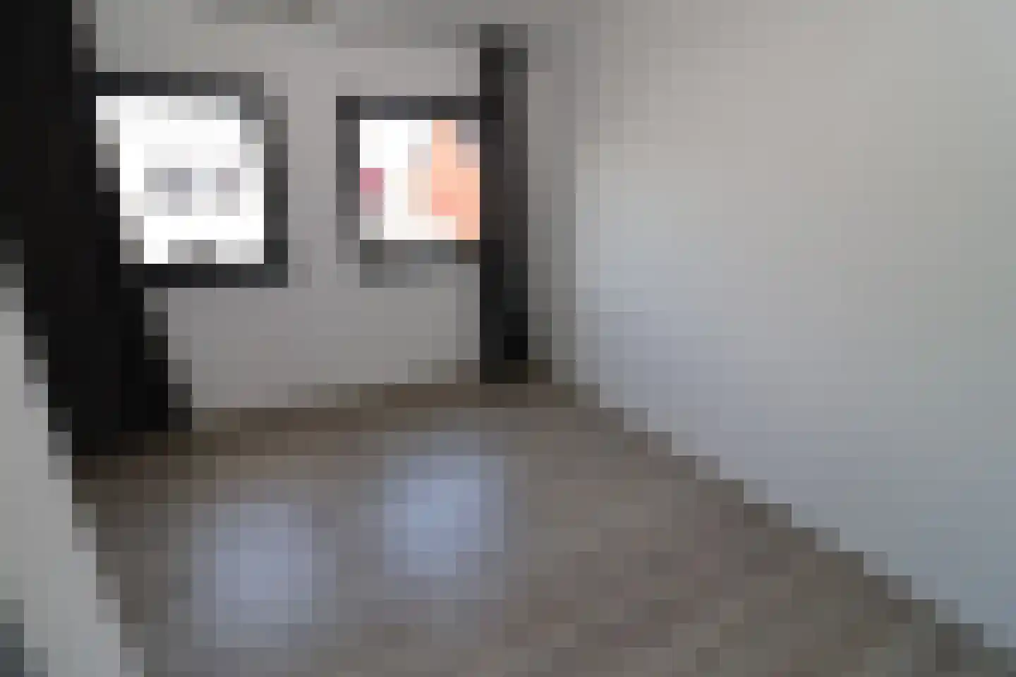Joost Hamerlinckstraat 10 Sas van Gent thumbnail 8