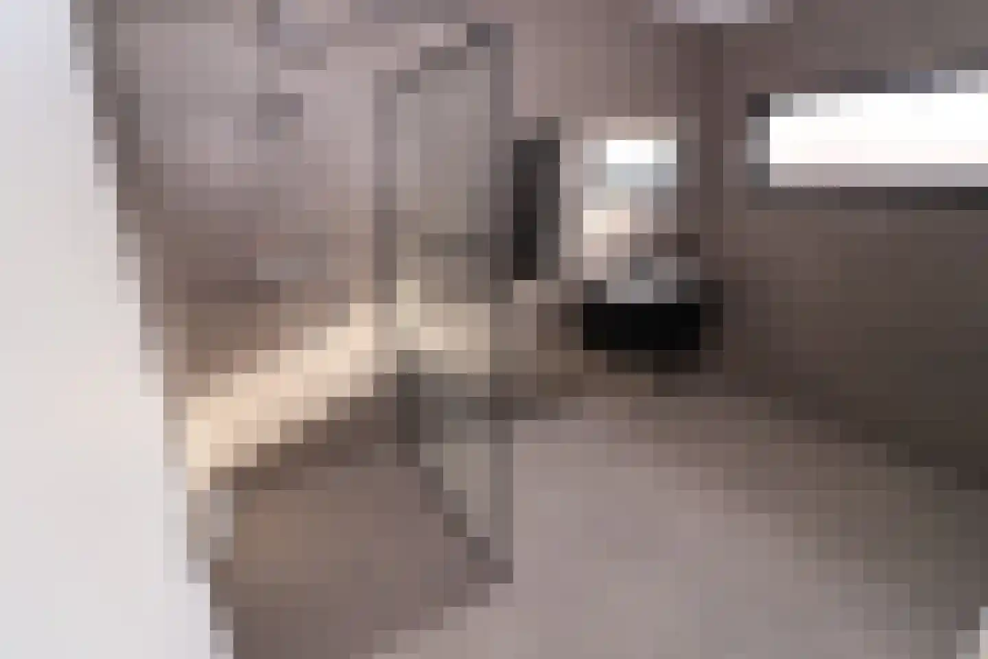 Joost Hamerlinckstraat 10 Sas van Gent thumbnail 9