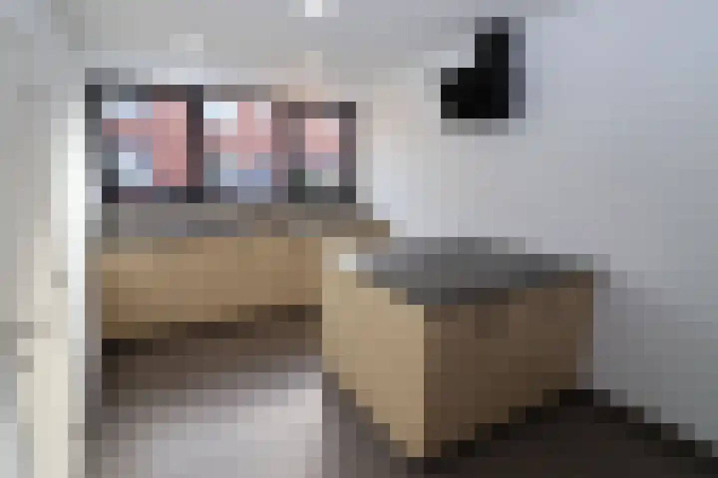 Joost Hamerlinckstraat 8 Sas van Gent thumbnail 6