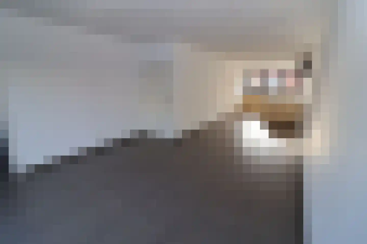Joost Hamerlinckstraat 8 Sas van Gent thumbnail 7