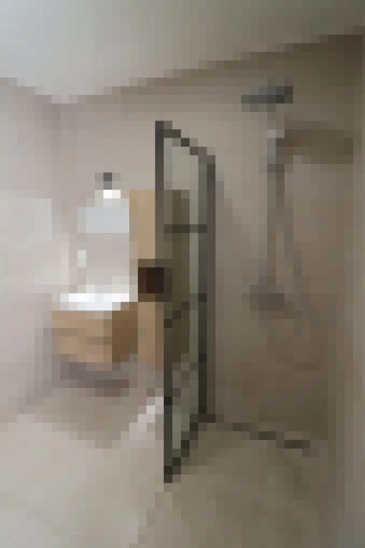 Joost Hamerlinckstraat 8 Sas van Gent thumbnail 9