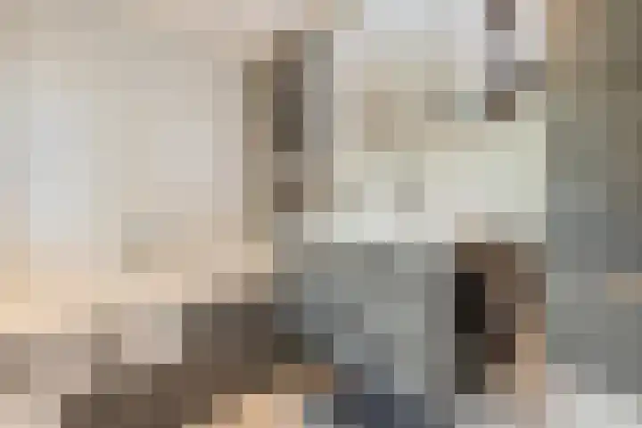 Joost Ivanghlaan 12 Bergen (NH) thumbnail 26