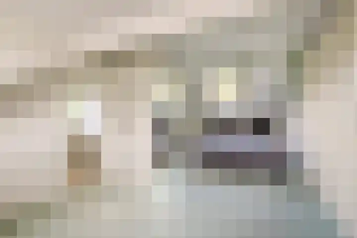 Joost Ivanghlaan 12 Bergen (NH) thumbnail 27