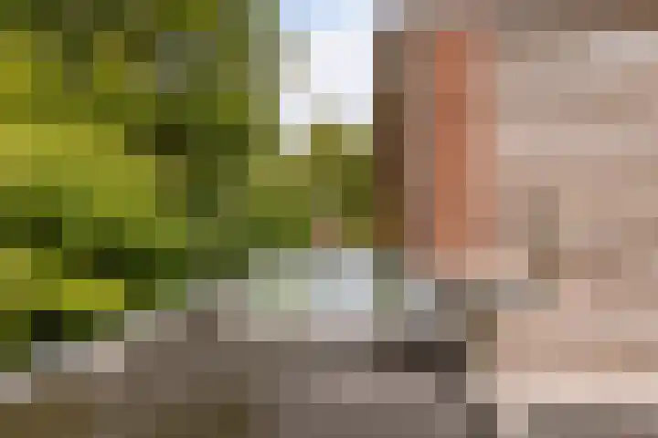 Joost Ivanghlaan 12 Bergen (NH) thumbnail 31