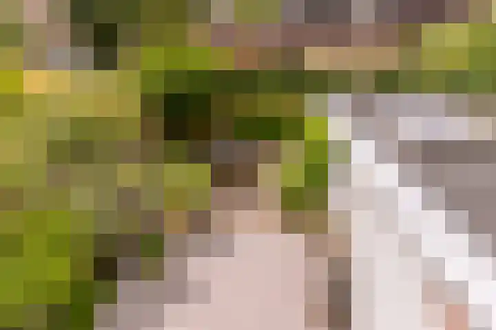 Joost Ivanghlaan 12 Bergen (NH) thumbnail 32