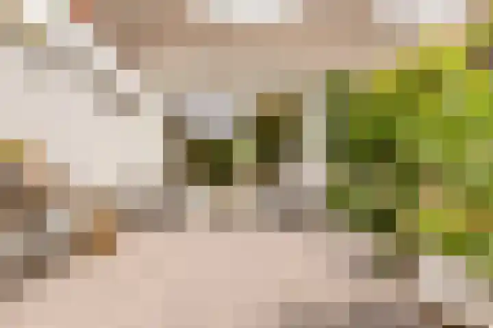 Joost Ivanghlaan 12 Bergen (NH) thumbnail 38