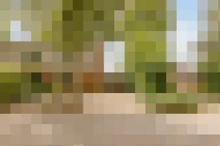 Joost Ivanghlaan 12 Bergen (NH) thumbnail 5
